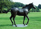 大きい青銅色の馬の彫刻、屋外の青銅色の彫像の馬の骨董品の設計 サプライヤー
