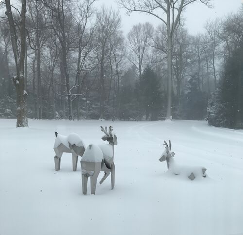 最新の企業ブログについて 結晶 の 群れ: 自然 と 幾何学 が 交わる 場所